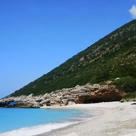 Olive Coast * Palase