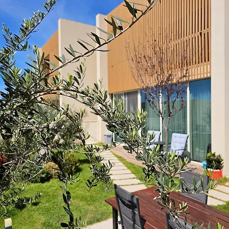Olive Coast * Palase
