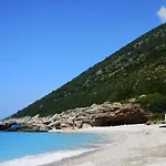 Olive Coast * Palase