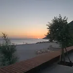 Olive Coast