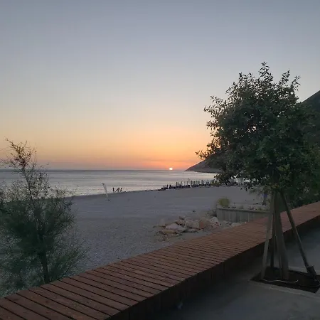 Olive Coast