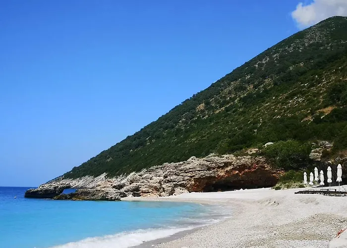 Olive Coast * Palase