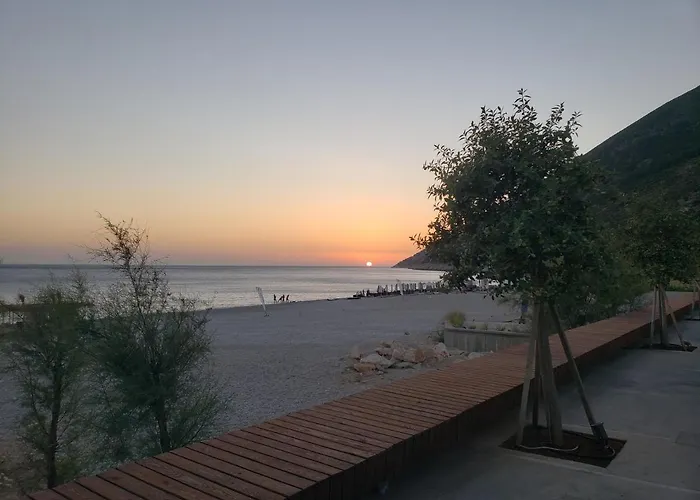 Olive Coast
