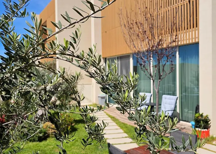 Olive Coast * Palase